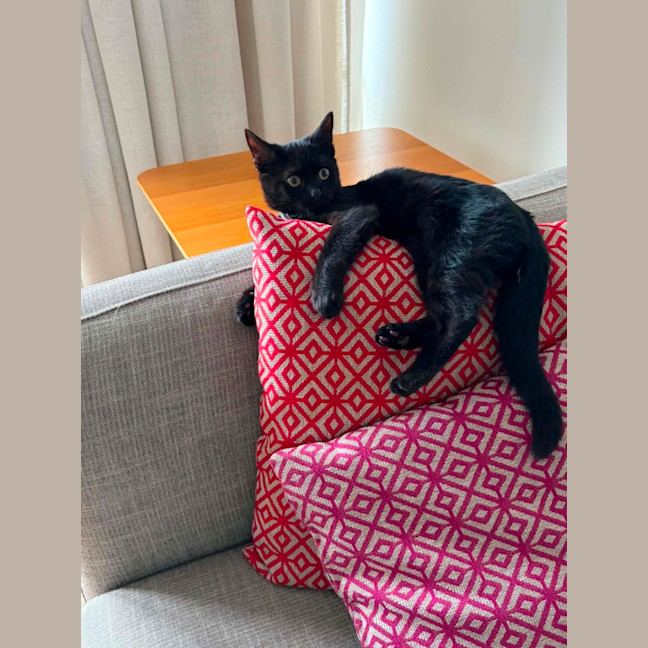 Photo of Jasper