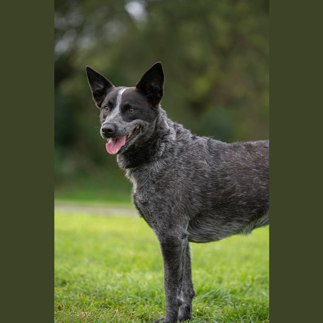 Photo of Tia