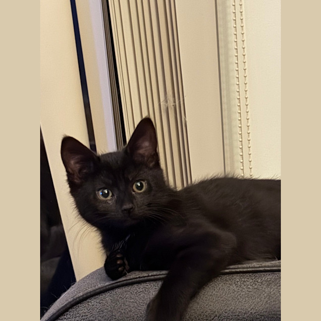 Photo of Mila