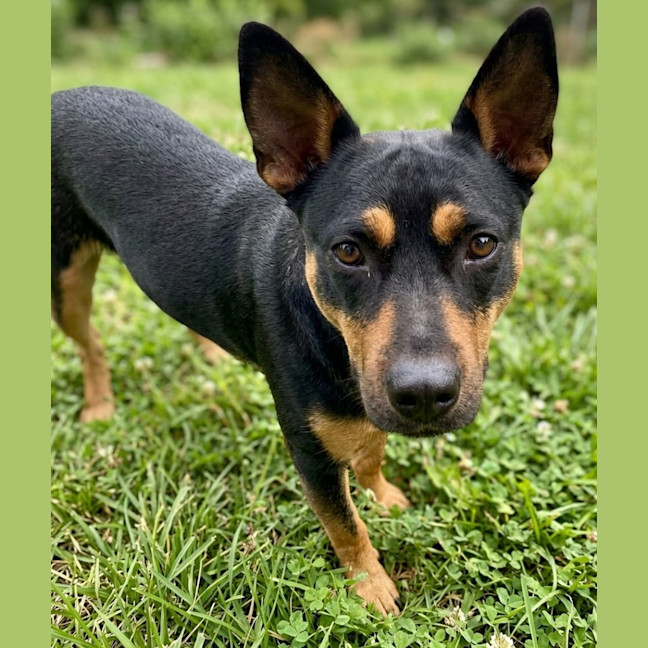 Photo of Winnie