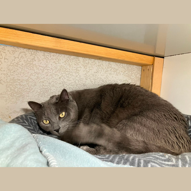 Photo of Norbert