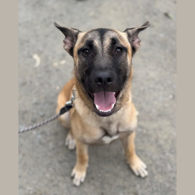 Photo of Capt. Jolly