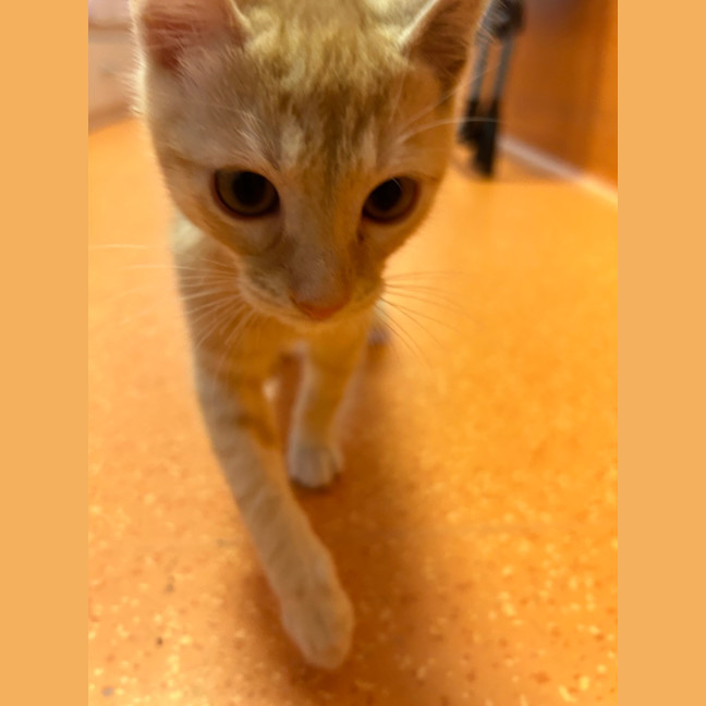 Photo of Billy