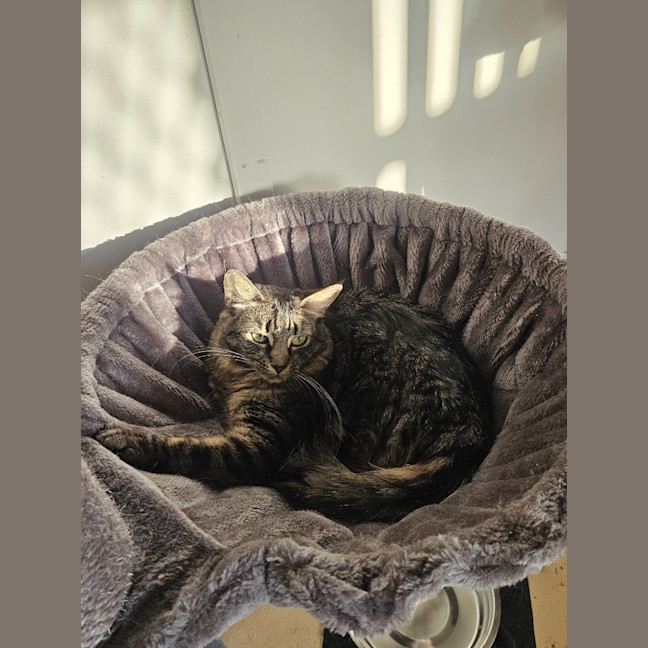 Photo of Mia