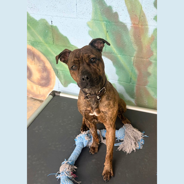 Photo of 🎨 Molly 6640 🎨