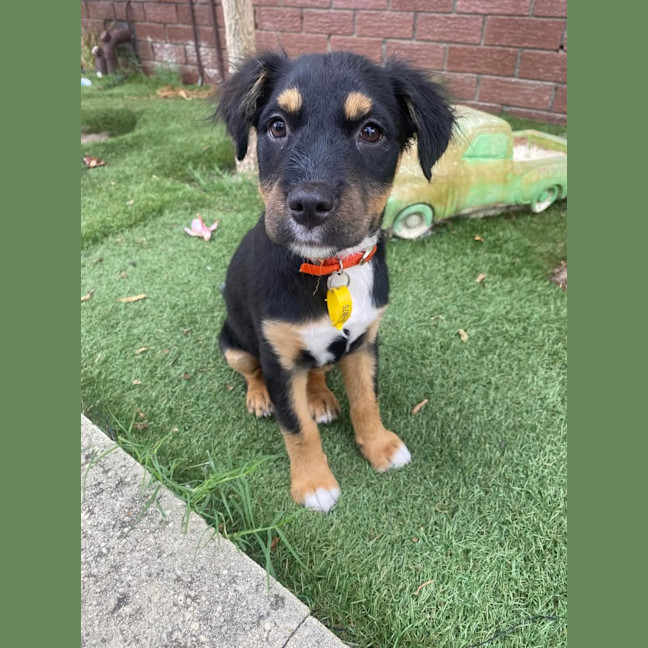 Photo of Matilda