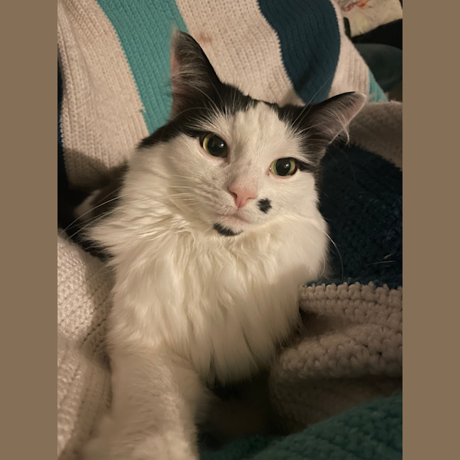 Photo of Cindy
