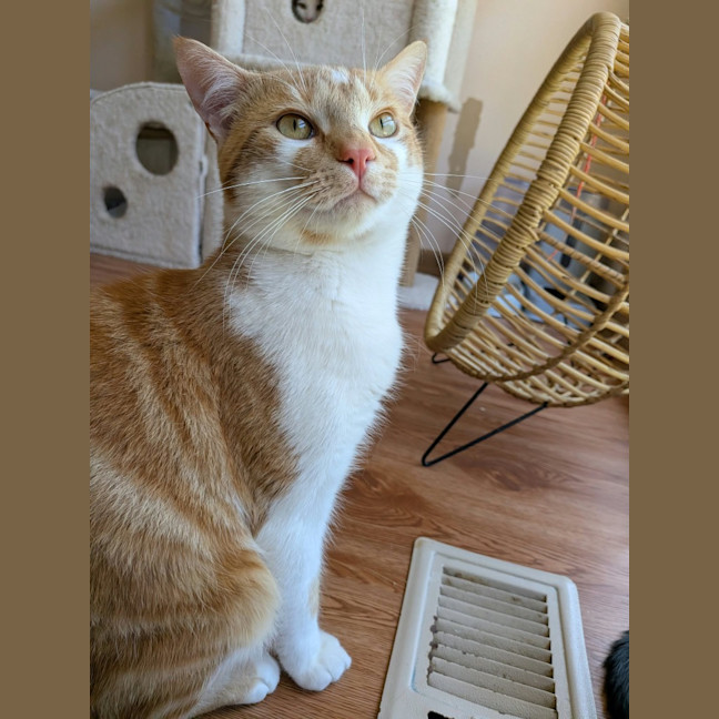 Photo of Miles