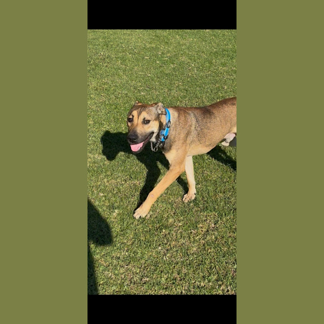 Photo of Jack