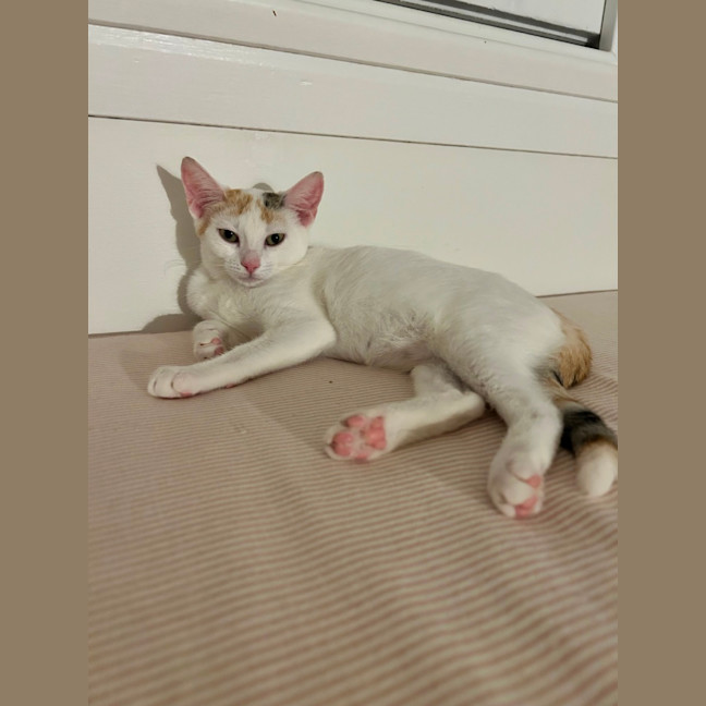 Photo of Lucy Loo