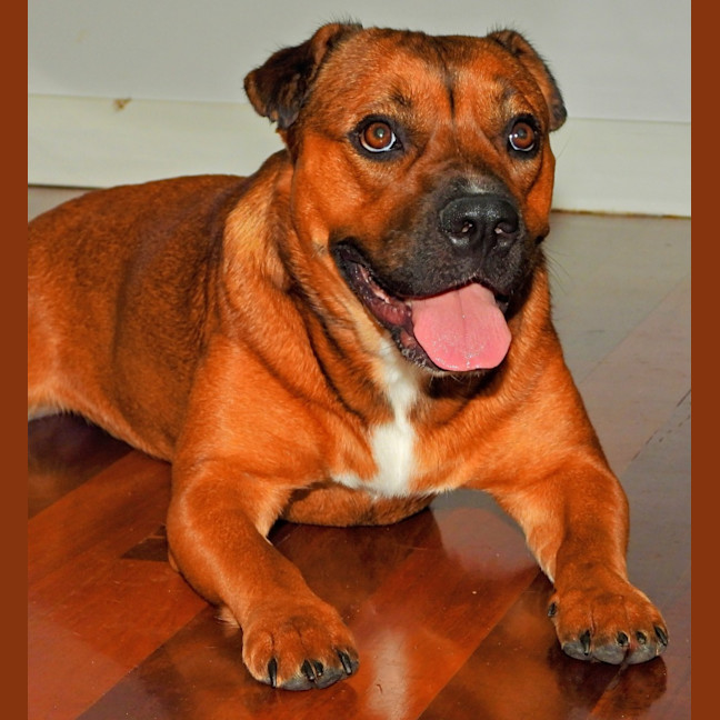 Photo of Princess (Prinny)