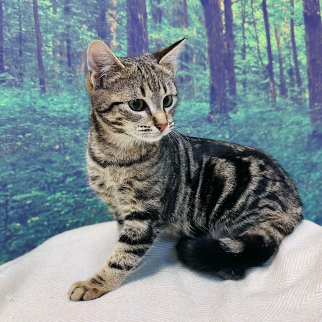 Photo of Bobby   Located In Preston