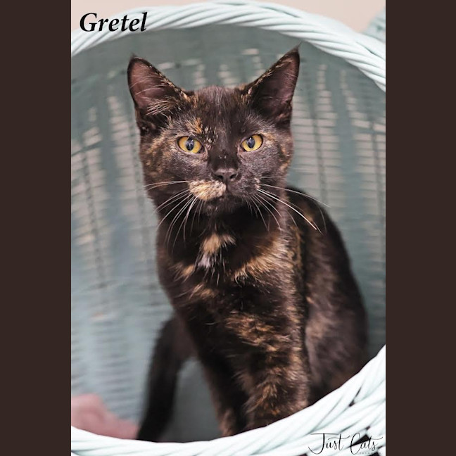 Photo of Gretel
