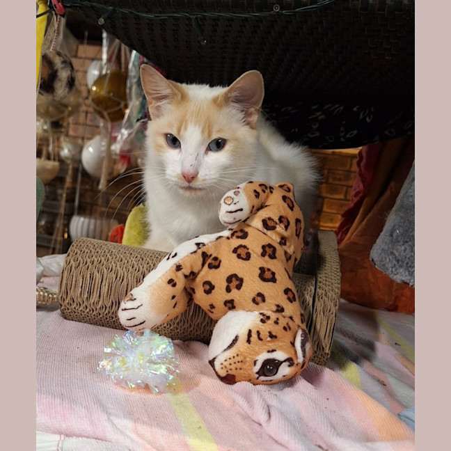 Photo of Tatina 💗