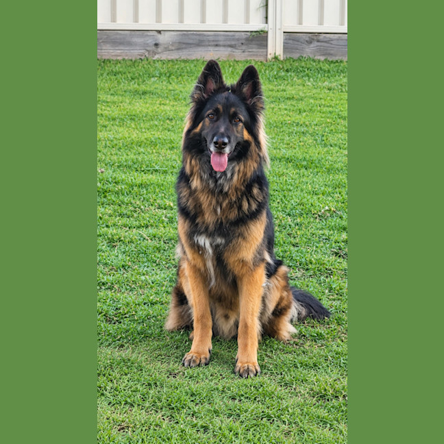 Photo of Kai