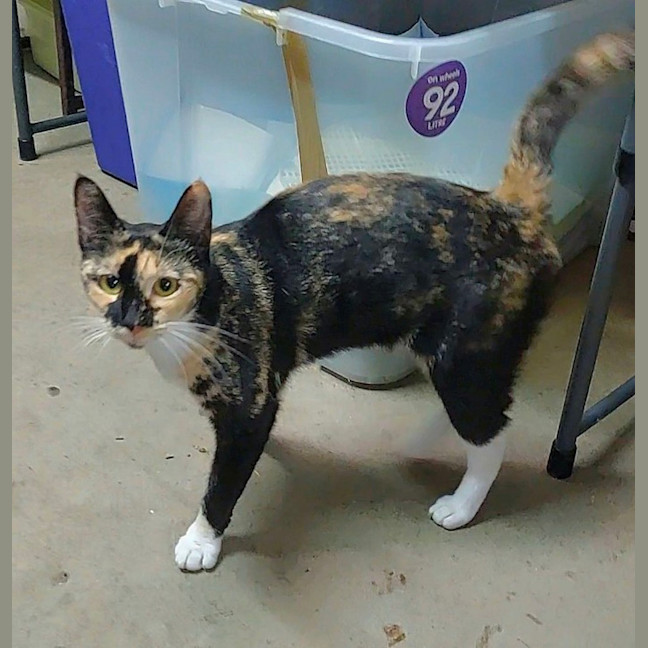 Photo of Neve Now Stevie