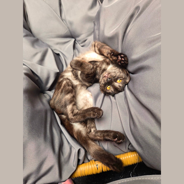 Photo of Wednesday