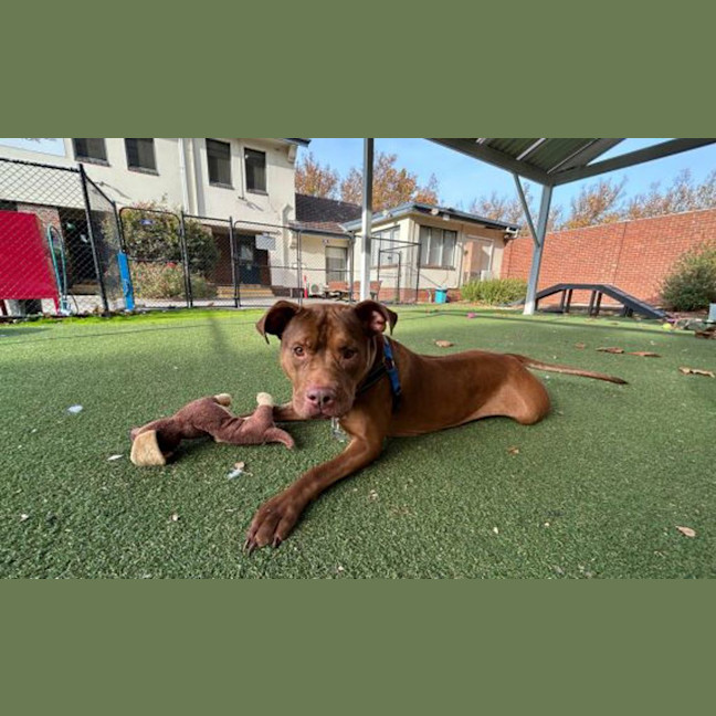 Photo of Maggie