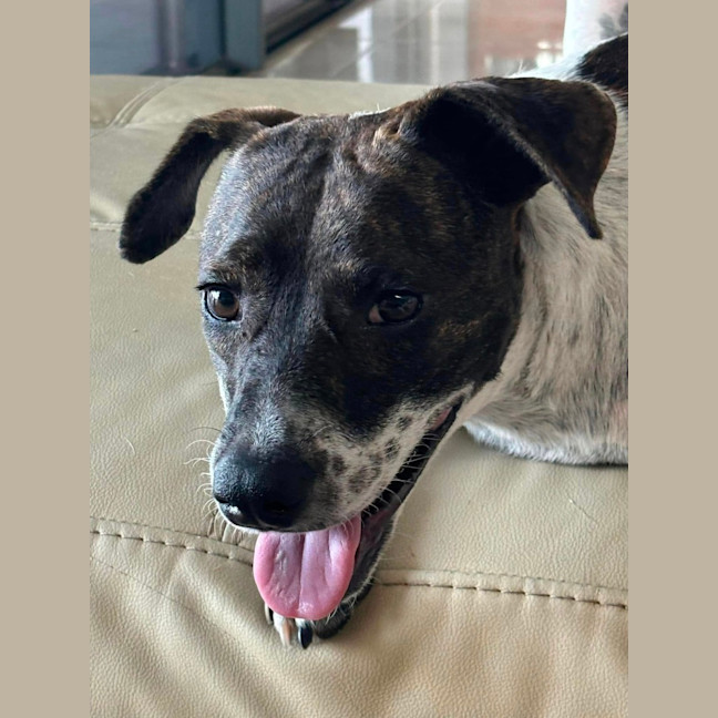 Photo of Billie Jean