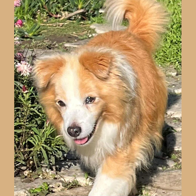 Photo of Max Quinnell