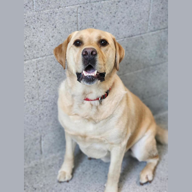 Photo of 🏆 Digga 6877 🏆