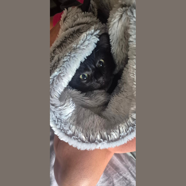 Photo of Onyx (8945)