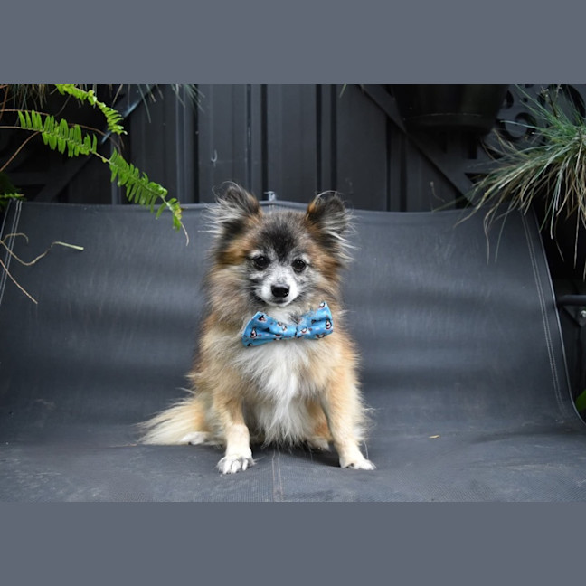 Photo of Evan