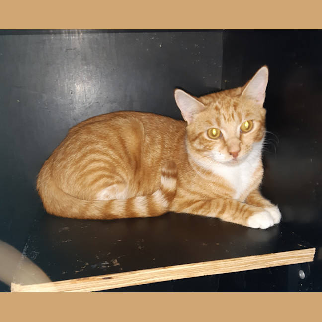 Photo of Purty&Precious