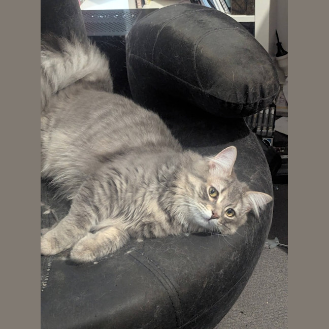 Photo of Wax & Wayne