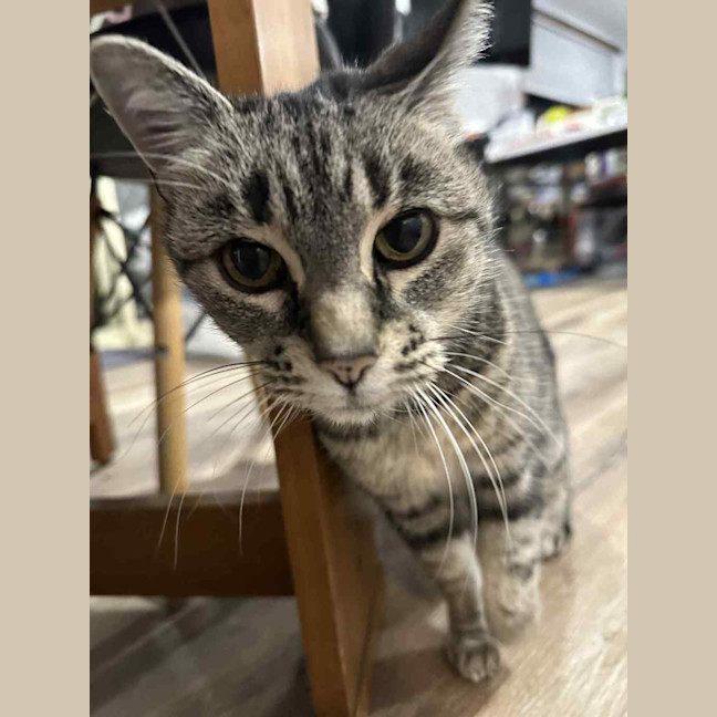 Photo of Sylvie