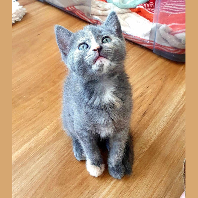 Photo of Buttons   Lcated In Somerville