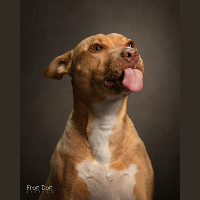 Photo of Peanut
