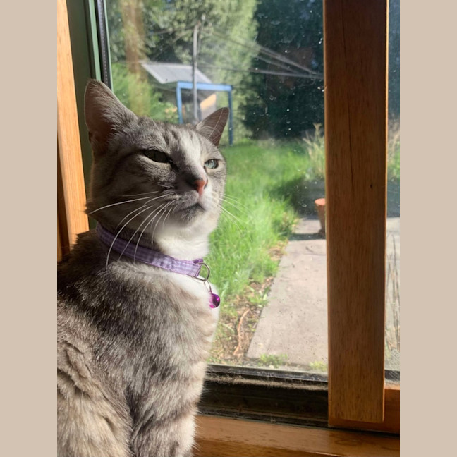 Photo of 💜 Totto 💜