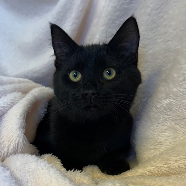 Photo of Mavis