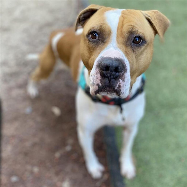 Photo of Walter
