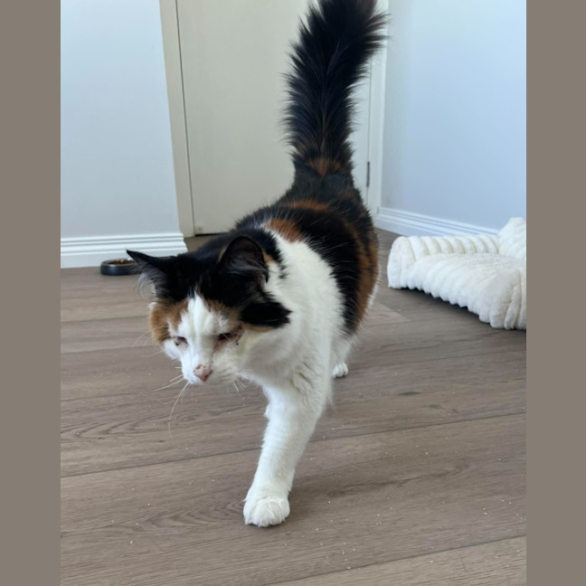 Photo of Evie