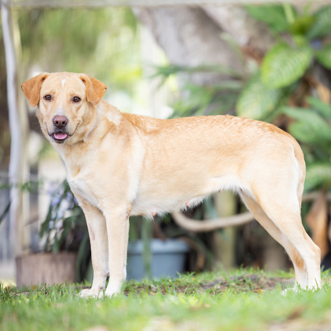 Photo of Sunni (Previously Queen)