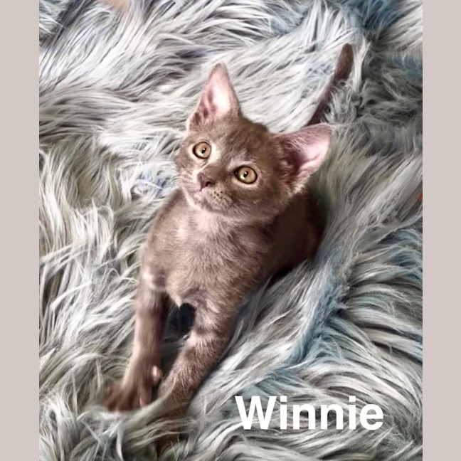 Photo of Winnie