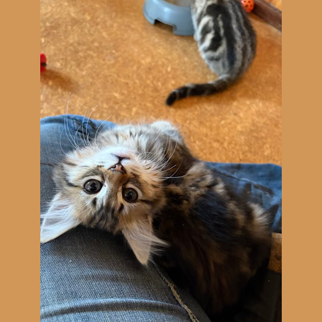 Photo of Samantha