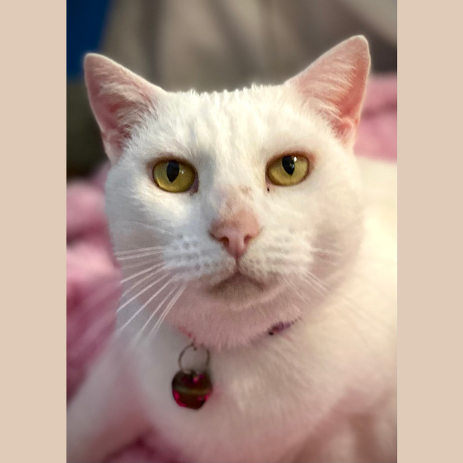 Photo of Pippi