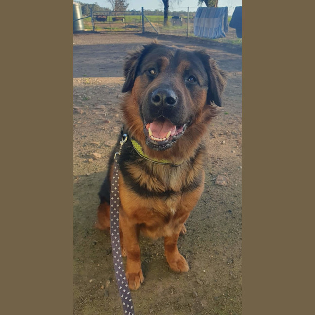 Photo of Arlo