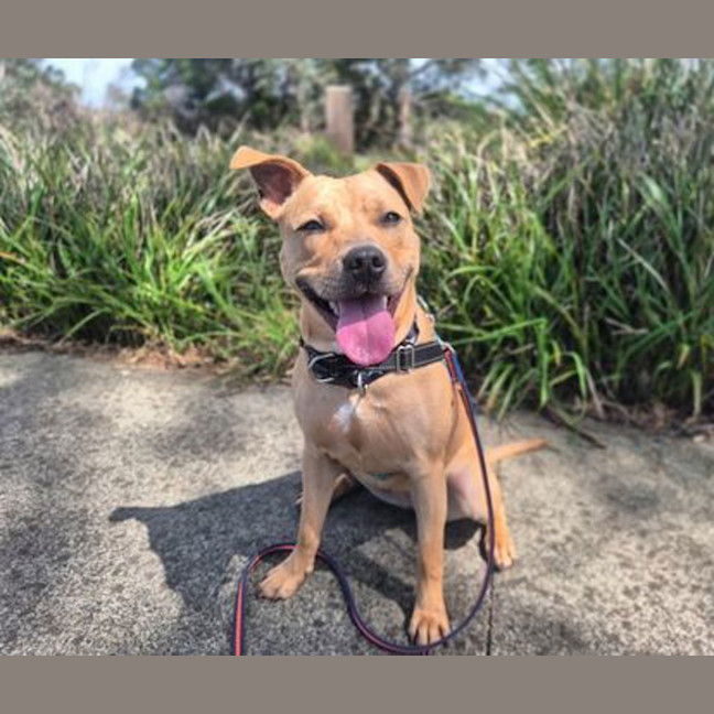 Photo of Calypso