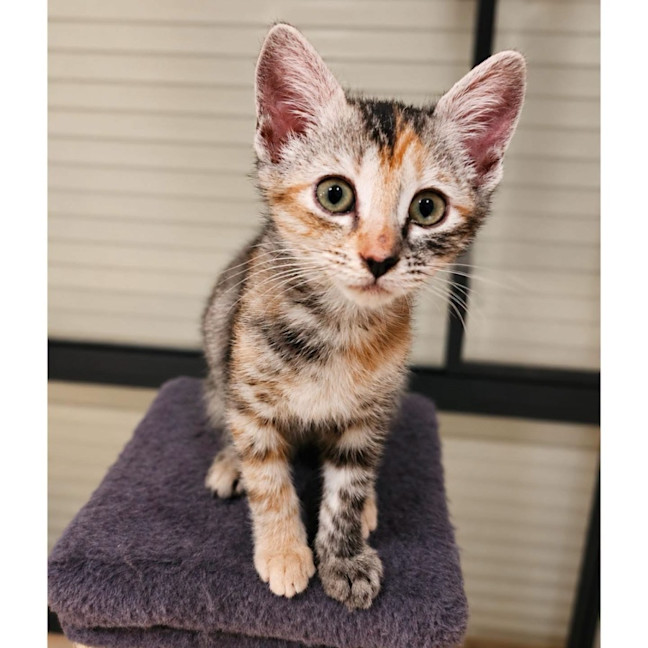 Photo of 13756   Carol