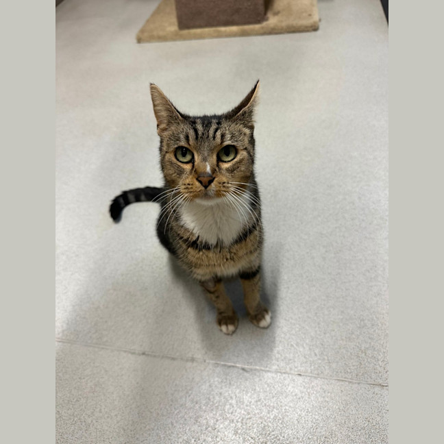 Photo of 🏯 Josette 6949 🏯