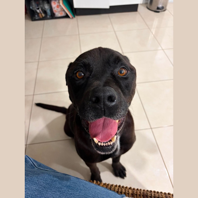 Photo of Axel