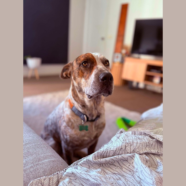 Photo of Fred 