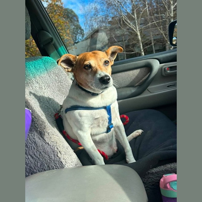 Photo of Max 