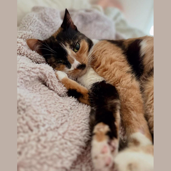 Photo of Storm 