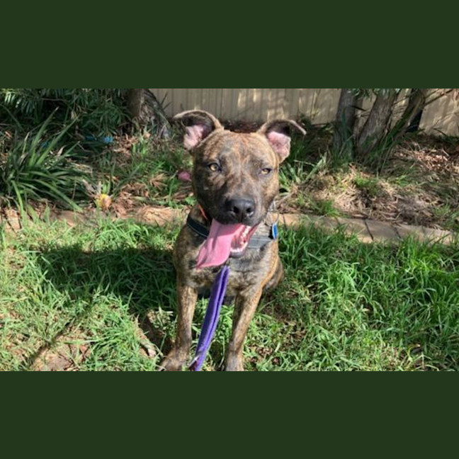 Photo of Rocket