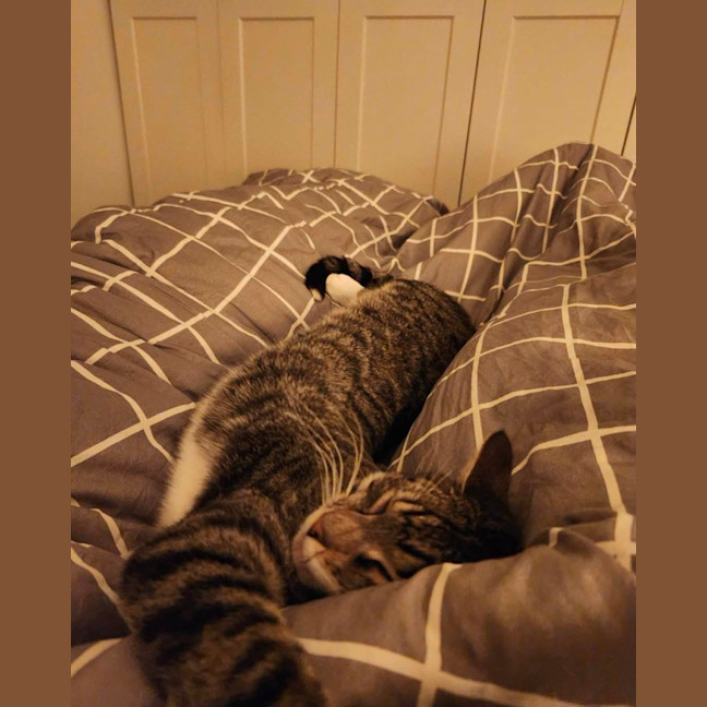 Photo of Tommy